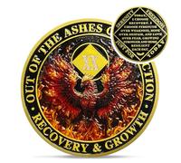Delicate Phoenix 20 Year Na Medallions - Reborn from Fire Sobriety Coin - 20 Years Recovery Addiction Token - Celebrate Clean and Sober Chip - 1-20 Prime Narcotics Anonymous Gifts for Men Women
