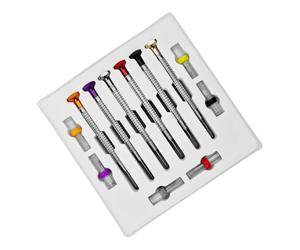 Delicate Repair Screwdriver Set for Small Screw Work, 6 Piece Watch Service Tools, Slot Tips, Rotating Caps, Separated Tray Storage Eyeglass Screwdriver