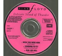 Delicate Sound Of Thunder