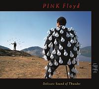 Pink Floyd - Delicate Sound of Thunder