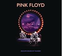 Delicate Sound Of Thunder 2CD