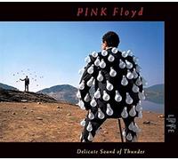 Pink Floyd - Delicate Sound of Thunder