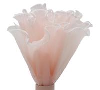 Delicate Transparent Tulle Fabric Trimming Sewing Tulle Fabric for Bridal Bouquet Arrangements and Decor Ruffle Pleated Trim Organza Lace Ribbons