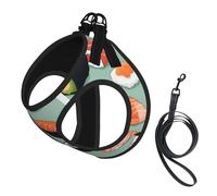 Delicious Sushi 1 Print Step in Dog Harness and Leash Set,Adjustable Reflective Harness for Small Dogs Cats