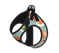 Delicious Sushi 1 Print Step in Dog Harness and Leash Set,Adjustable Reflective Harness for Small Dogs Cats
