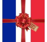 Délie Ton Esprit Édition De Noël: 120 casse-têtes variés : mots mêlés, mots croisés, sudoku, et plus encore (Untie Your Mind)