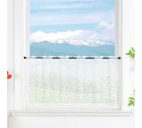 Delien Voile 1 Piece Net Curtains, Short Curtains, Embroidery, Bistro Curtain, Grünland, Transparent Short Curtain with Grass Pattern, Leaf Pattern for Kitchen, W x H 120 x 60 cm, Green