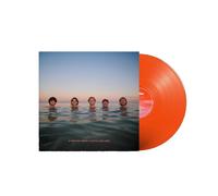 Delights - If Heaven Looks A Little Like This [VINYL]