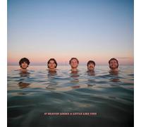 Delights - If Heaven Looks A Little Like This [VINYL]