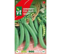 Delikett Peas Seeds - Thick, Succulent pods - 40 g - Seeds: 6