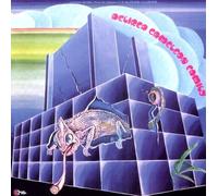 DELIRED CAMELEON FAMILY - Visa De Censure No. X [VINYL]