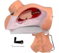 Delivery Training Model with Mechanical Handle, Childbirth Simulation Tool for Midwifery Education