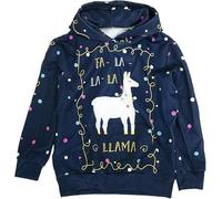 DELIVESS Kids Ugly Christmas Sweater for Boys Girls Pullover Sweatshirt Tacky Christmas Jumper (Blue Alpaca, 11-12 Years)