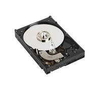Dell 1 TB SAS