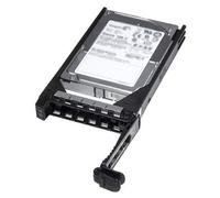 DELL 400-21619 internal hard drive 300 GB 10000 RPM 2.5" SAS