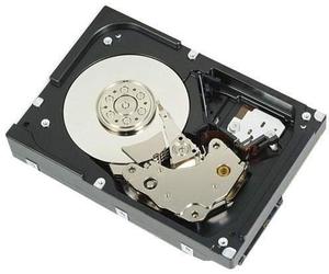 Dell 529FG 4000go SAS Hard Drive - 3.5 "Hard Drives (4000 GB, 7200 rpm, SAS HDD)