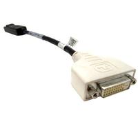 dell-dvi-displayport d-adaptador (DisplayPort to DVI-D Cable Male/Male