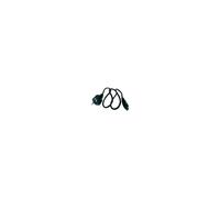 Dell Europe Cord Power C5 1 Meter Straight 250 Volts 2.5 Amp