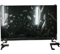 Dell ASSY LCD, Non Touch Screen, FHD, Antiglare, EDP1.2, FHD, W125715735 (FHD, Antiglare, EDP1.2, FHD Non-Touch Panel)