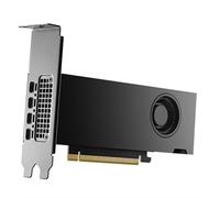 Dell NVIDIA® RTX™ 2000 Ada Generation, 16 GB GDDR6, full height, PCIe 4.0 x 8, 4 mDP Graphics Card