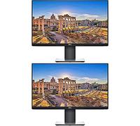 Dell P2419H 24" Full High Definition IPS LED Monitor - 2 Pack bundle