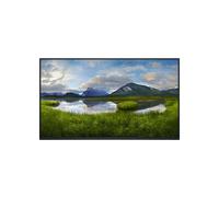 Dell P2425HWO 24 IPS Full HD 100Hz without stand Monitor