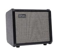 Dellersound TS20 20W Bass Combo Amp - Black, Suitable for Bass Guitar, with 2-Year Warranty, 6.5 Inch Speaker, Overdrive Circuit, Mid-Scoop Contour Switch