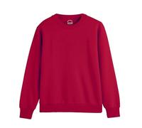 DELLMOOR Men’s Crew Neck Plain Sweatshirts, Breathable 280 GSM French Terry Fabric Cotton Long Sleeve Jumper for Mens Adult, Sizes S - 2XL (UK, Alpha, S, Regular, Regular, Pink)