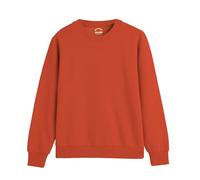 DELLMOOR Men’s Crew Neck Plain Sweatshirts, Breathable 280 GSM French Terry Fabric Cotton Long Sleeve Jumper for Mens Adult, Sizes S - 2XL (UK, Alpha, M, Regular, Regular, Orange)