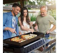 4 Burner Portable Gas Plancha 10kW BBQ Griddle, Stainless Steel - DG23