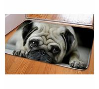Dellukee Welcome Large Doormats Cute Big Eyes Pug Pattern Indoor Outdoor Funny Non Slip Durable Washable Home Decorative Door Mats Rugs for Entrance Bedroom Bathroom Kitchen, 23 x 16 Inches