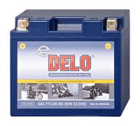 Delo Gel Batteries, Fa / Sealed