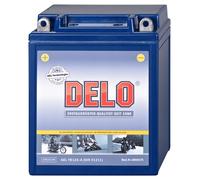 Delo Gel Batteries, Fa / Sealed YB12A-A 12V/12AH SAE 145A