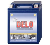 Delo Gel Batteries, Fa / Sealed YB14L-A2 12V/14AH SAE230A