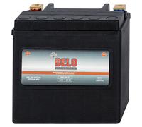 Delo Gel Hd Battery