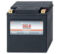 Delo Gel Hd Battery