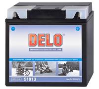 Delo Microfleece Battery 51814 51913 12V/19AH 210A