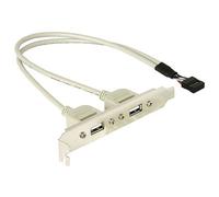 Delock 71000 Slotbracket Internal USB To 2X USB2.0 External Pc Slo...