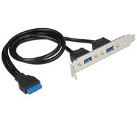 DeLOCK Slotblech - USB 3.0 2xPort extern / 1x Pfostenfemale - intern UNC Gewinde 50cm