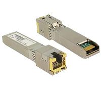 DeLock SFP Module SFP+ -> 10GBase-T RJ45