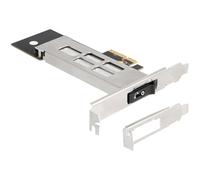 DeLock Wechselrahmen PCI Express Karte für 1 x M.2 NMVe SSD