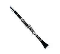 Deloitte Bb Clarinet, ABS, Nickel Plated, DCL-225, Professional Clarinet for Beginner, with Hand Case Bag and Cleaning Kit