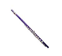 Deloitte C Flute Closed Hole 16 Keys Nickel Plated, DFL-301, for Beginner Student Flute Instrument with Cleaning Kit, Carrying Case, Gloves, Tuning Rod (Purple Dream)