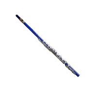 Deloitte C Flute Closed Hole 16 Keys Nickel Plated, DFL-401, for Beginner Student Flute Instrument with Cleaning Kit, Carrying Case, Gloves, Tuning Rod (Sapphire)