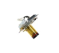 Delonghi 7313217501 Infusor