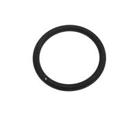 Delonghi - Inlet Filter Seal 533218