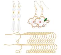 DELORIGIN 120pcs 2 Styles Brass Earring Hook 14K Gold Plated French Earring Findings Wire Loop Earrings U-Shaped Ball Dot Ear Wires Fish Earrings Hooks with Loop for Jewellery Making Dangle Crafts