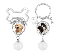 DELORIGIN 2pcs Dog Memorial Keychain Glass Transparent Bottle Hair Storage 4in Pet Fur Keepsake Dog Ash Small Urn Jewelry Photo Glass Locket Stainless Steel Charm for Bag Purse Sympathy Gift