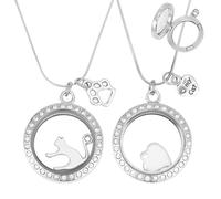 DELORIGIN 2PCS Pet Ashes Necklace Cats Hair Keepsake Fur Locket Necklaces Cat Dog Remembrance Jewelry with Paw Heart Rhinestone Pet Memorial Urn Necklace for Cats Women Men Loss Pet Sympathy Gift