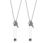 DELORIGIN 2pcs Pet Whisker Memorial Necklace Clear Plastic Tube Bottle Pendant with Paw Print and Wings Charms Iron Chain Jewelry Urn Ashes Memorial Pendant Keepsake for Cat Whiskers Pet or Human